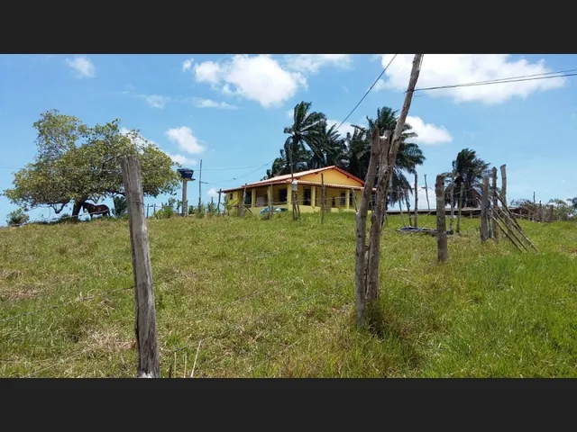 Imagem 16: Excelente Oportunidade de Investimento em Fazenda Produtiva e Documentada Como Empresa