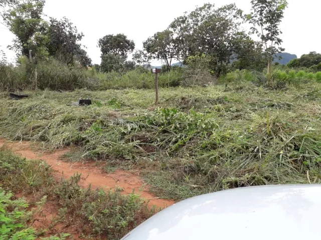 Imagem: Lote 15X30 Jardim Palamres R$ 30.000,00