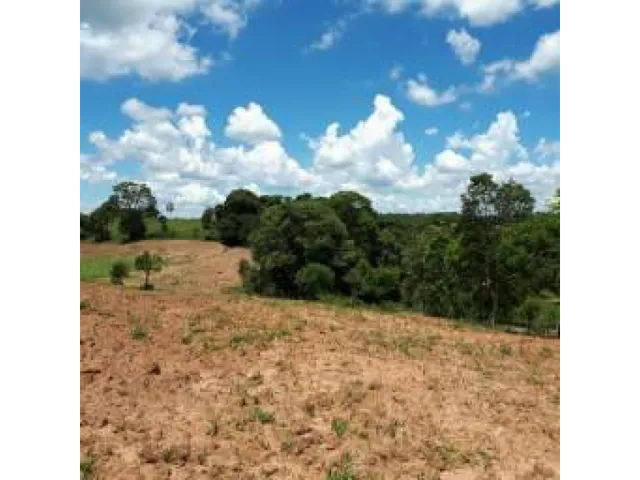 Imagem: Vendo Lindo Sítio de 120.000 Mts em São