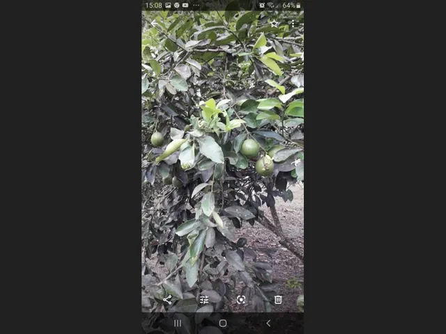 Imagem: A fazenda possui 2 Dormitórios e está localizado em Linha