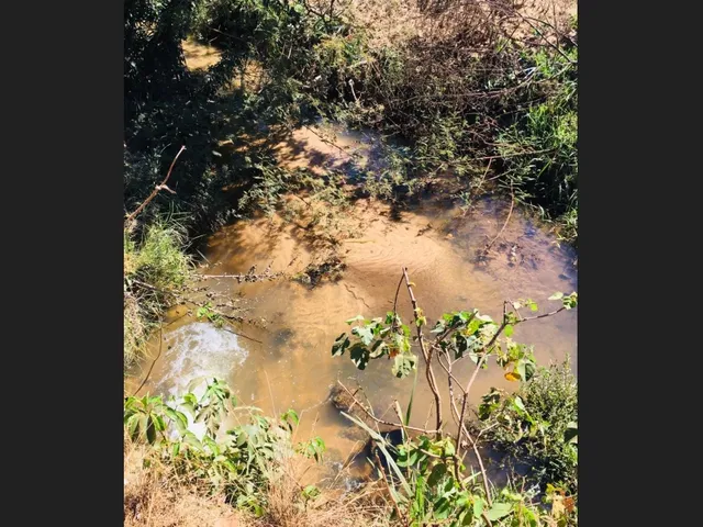 Imagem: Vendo Uma Fazenda na Região de Rondonópolis