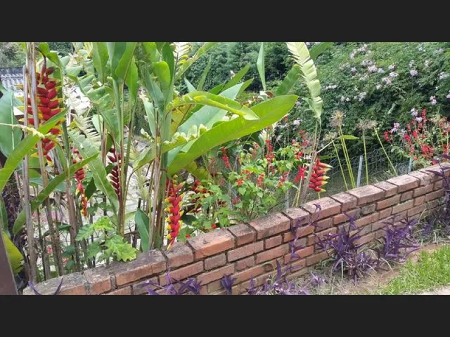 Imagem 2: Vendo Casa Linear Moderna com Vista Panorâmica Indevassável Hospitaleira Teresópolis/Rj