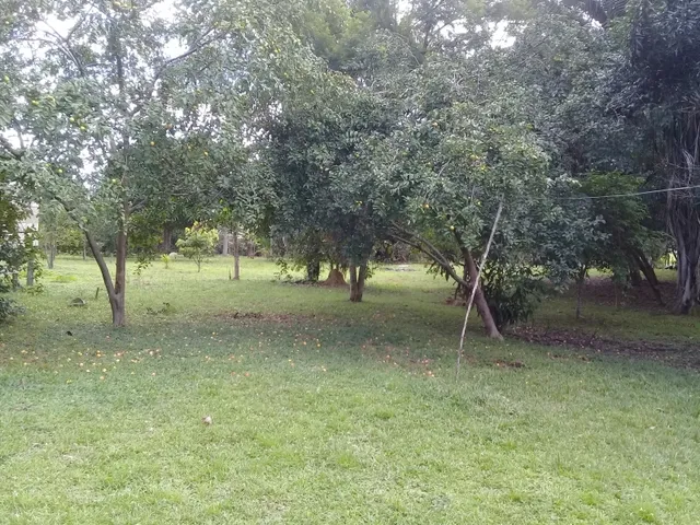 Imagem: Chácara