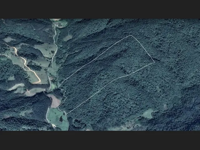 Imagem: Área Rural À Venda para Compensação