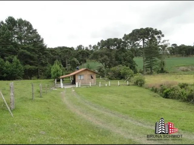 Imagem: Chácara/ Sítio em Campo Alegre Bairro