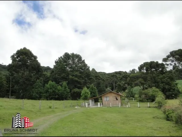Imagem 2: Chácara/ Sítio em Campo Alegre Bairro São Miguel