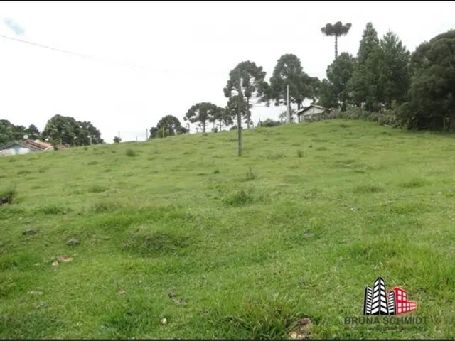 Imagem 4: Chácara/ Sítio em Campo Alegre Bairro São Miguel