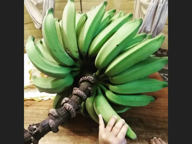 Imagem 7: Casa Ecológica Bem Localizada Parnaíba-Pi