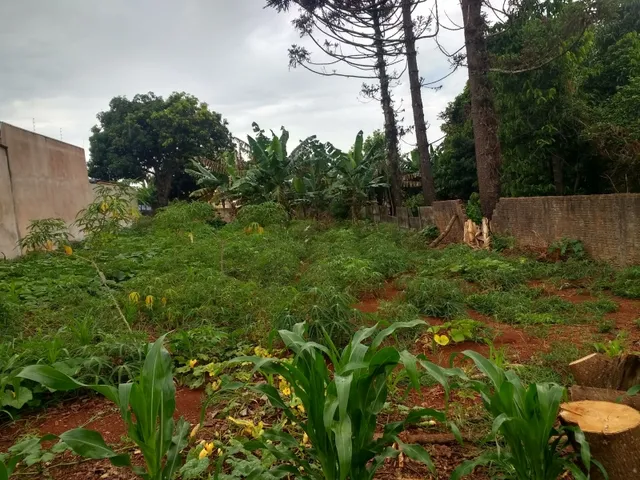 Imagem: Terreno em Peabiru Pr