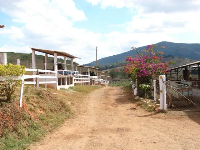 Imagem: Fazenda de 53Ha com Curral e Laticínio