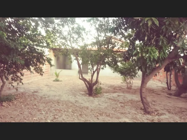 Imagem 15: Casa em Canto do Buriti - Centro