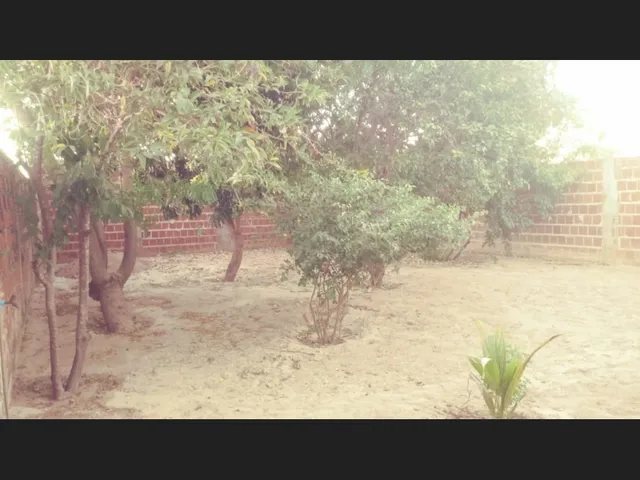 Imagem 5: Casa em Canto do Buriti - Centro