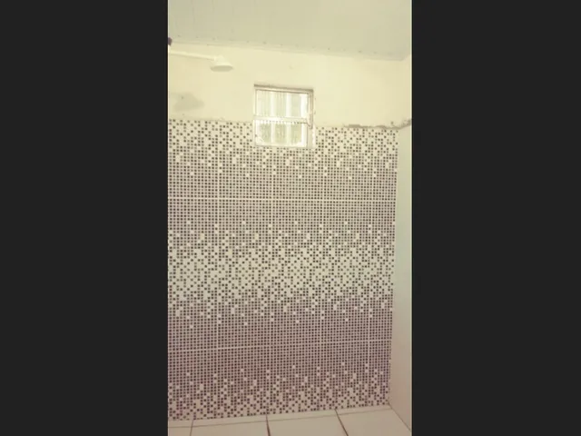 Imagem 10: Casa em Canto do Buriti - Centro