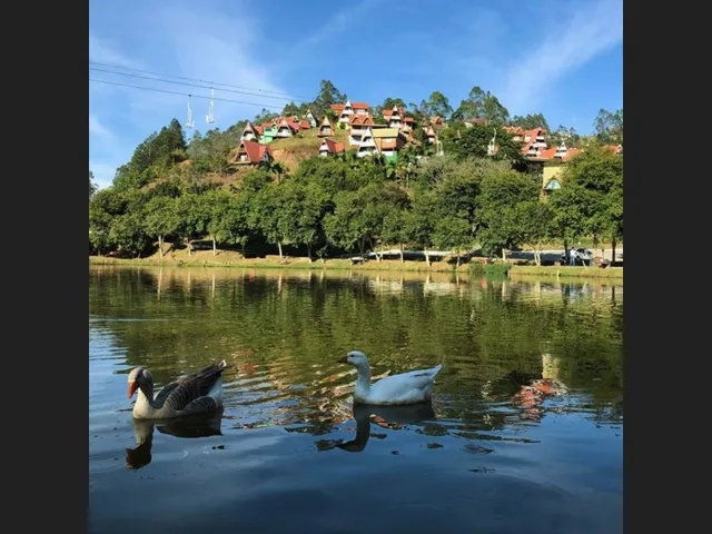 Imagem 1: Terreno com Chalé na Planta Dentro do Parque do China