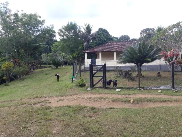 Imagem: Fazenda 56 Hectares