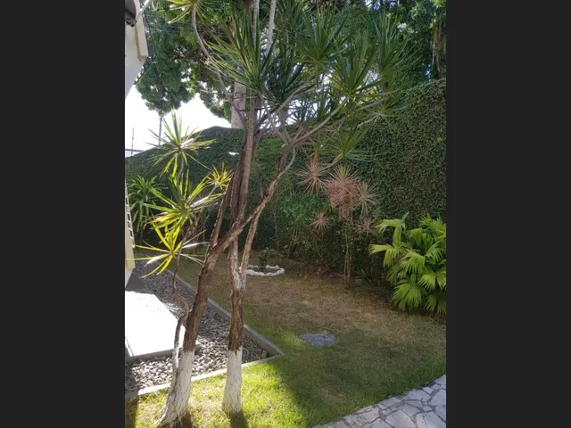 Imagem 15: Apartamento À Venda no Cabula