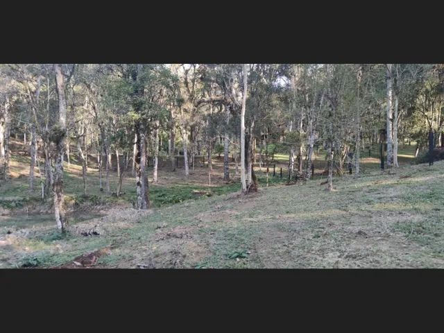 Imagem 2: Terreno 7.800M² com Tanque em Campo Alegre/ Fragosos