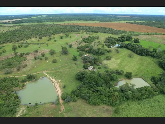 Imagem: Fazenda Fátima Tocantins