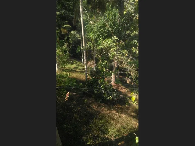 Imagem 15: Sítio com 6 Quartos, Casa de Caseiro e Muito Verde, a 25 Min do Centro de Teresópolis