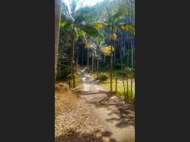 Imagem 6: Sítio com 6 Quartos, Casa de Caseiro e Muito Verde, a 25 Min do Centro de Teresópolis