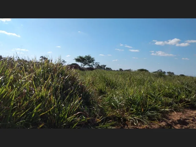Imagem: Vende-Se Ou Troca-Se Fazenda