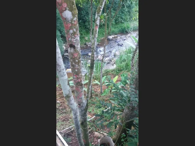 Imagem 5: Chácara na Varginha, Santo Amaro da Imperatriz/Sc