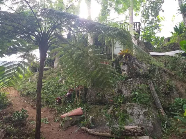 Imagem 6: Chácara na Varginha, Santo Amaro da Imperatriz/Sc
