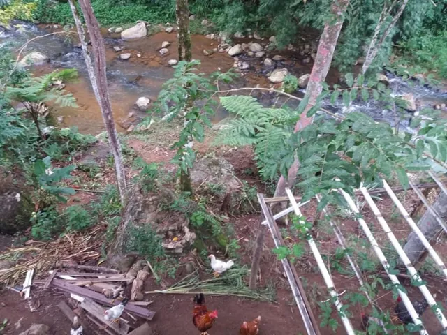 Imagem 3: Chácara na Varginha, Santo Amaro da Imperatriz/Sc