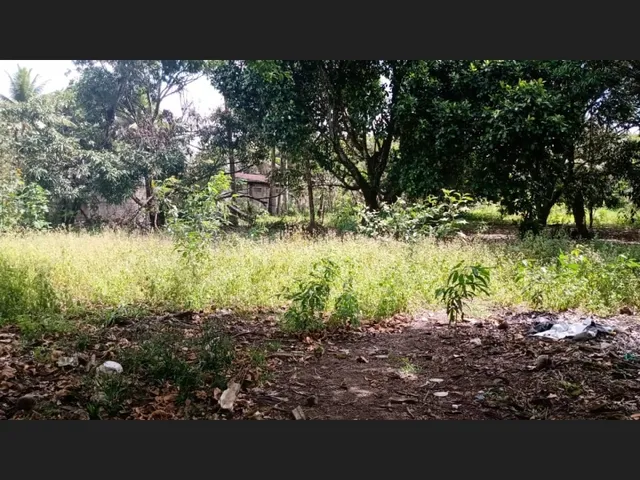 Imagem: Área Dentro de Maceió - 10.000 Metros