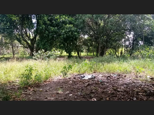 Imagem: 20.000 Metros Quadrados Dentro de Maceió