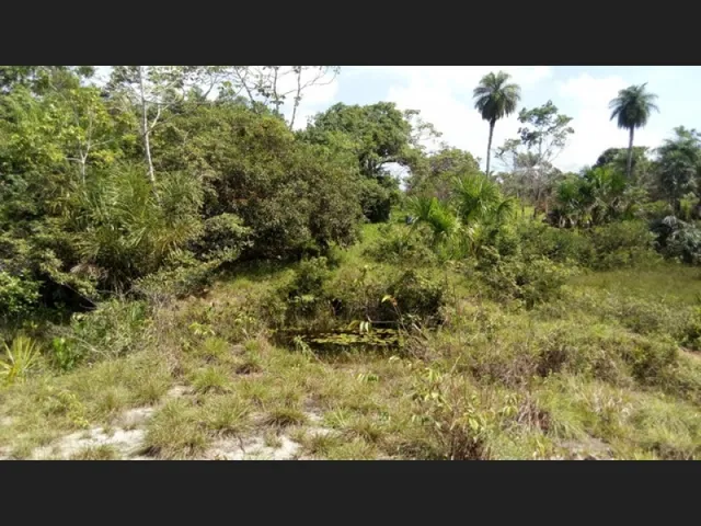 Imagem 5: R$250.000 Terra em Marapanim-Pará com 70 Hectares Documentada