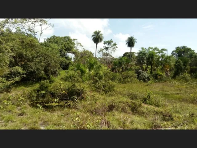 Imagem 6: R$250.000 Terra em Marapanim-Pará com 70 Hectares Documentada