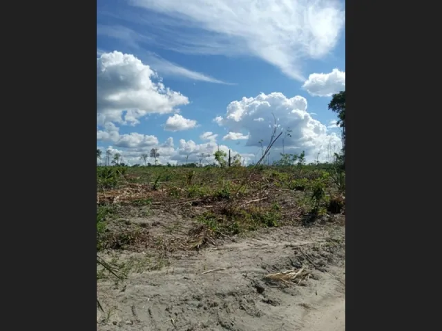 Imagem: Fazenda 3656 Hectares 2.300.000,00 no Pará