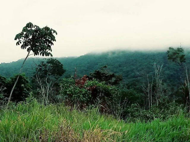 Imagem: Terreno em Pacaraima