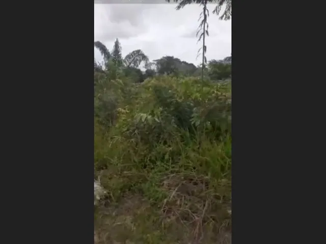 Imagem: Sítio de 19,2 Hectares (320 X600) por 80
