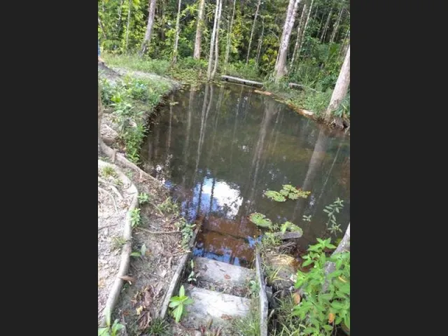 Imagem: R$70 Mil Sítio Próximo À Terra Alta no