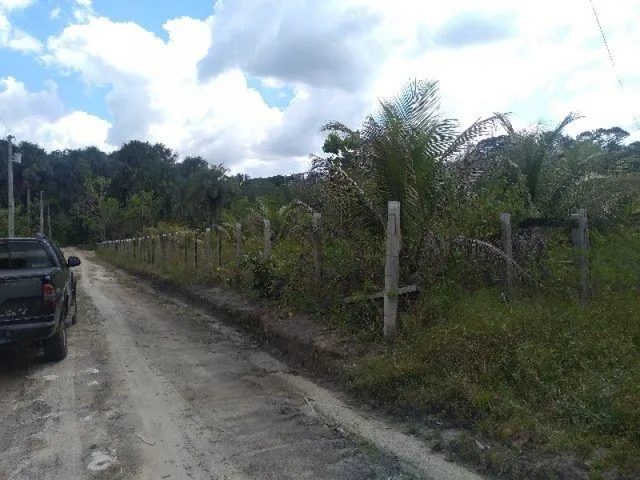 Imagem 9: R$70 Mil Sítio Próximo À Terra Alta no Pará 100X120 com Igarapé e Casa