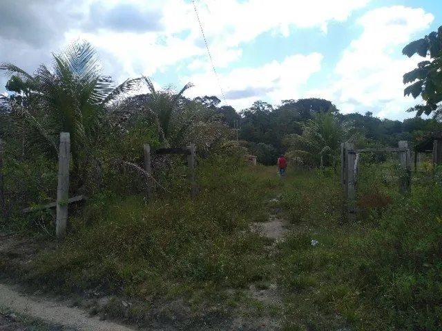 Imagem 6: R$70 Mil Sítio Próximo À Terra Alta no Pará 100X120 com Igarapé e Casa