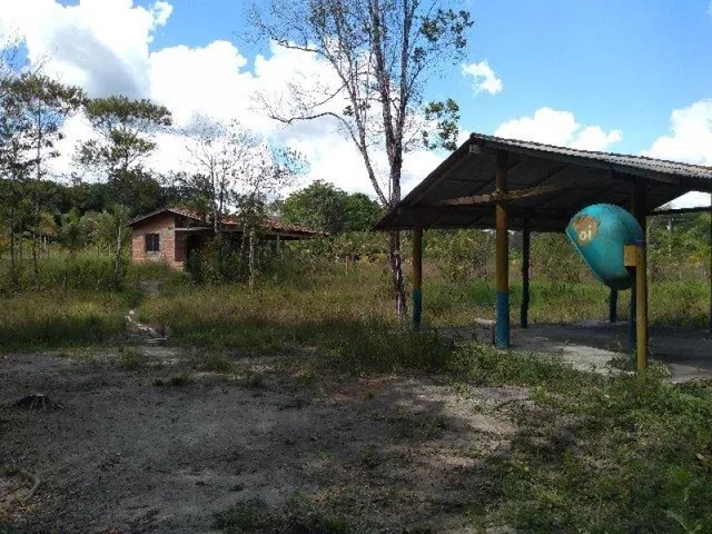 Imagem 3: R$70 Mil Sítio Próximo À Terra Alta no Pará 100X120 com Igarapé e Casa
