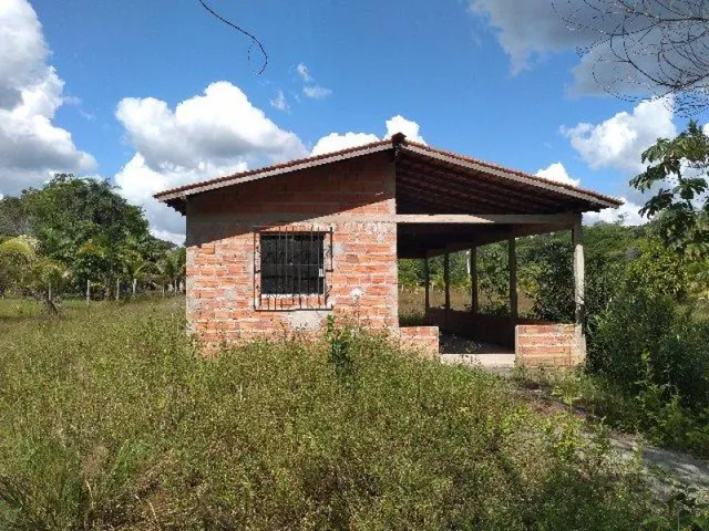 Imagem 8: R$70 Mil Sítio Próximo À Terra Alta no Pará 100X120 com Igarapé e Casa