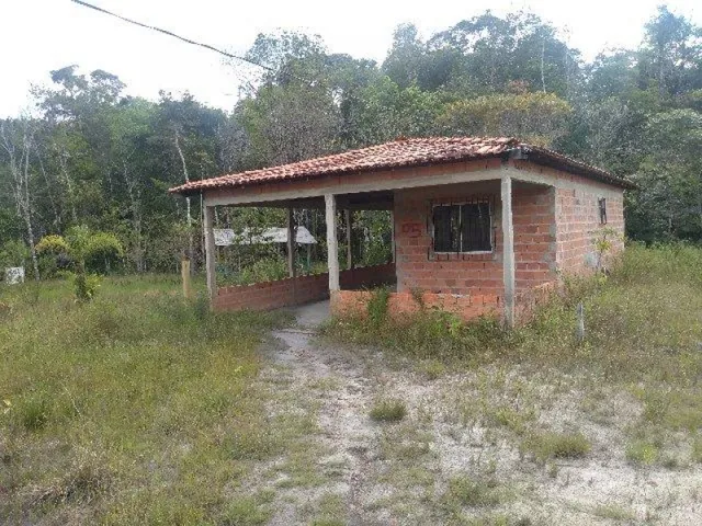Imagem 7: R$70 Mil Sítio Próximo À Terra Alta no Pará 100X120 com Igarapé e Casa