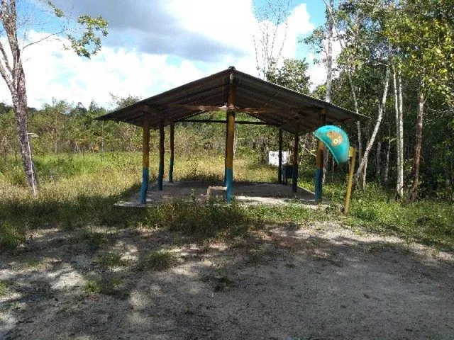 Imagem 5: R$70 Mil Sítio Próximo À Terra Alta no Pará 100X120 com Igarapé e Casa