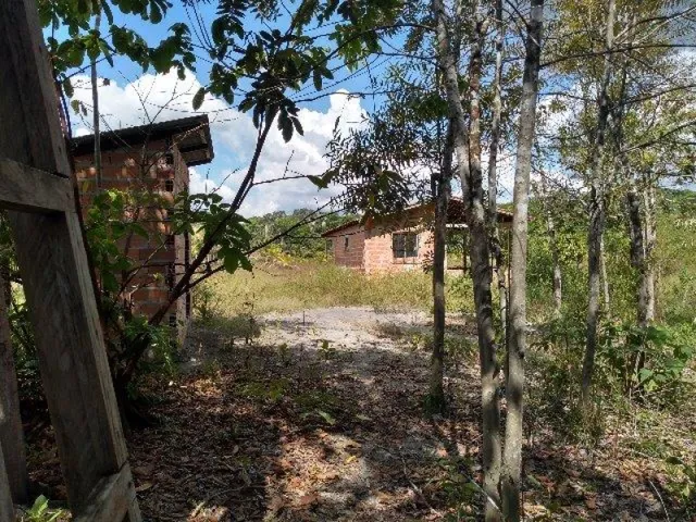 Imagem 13: R$70 Mil Sítio Próximo À Terra Alta no Pará 100X120 com Igarapé e Casa