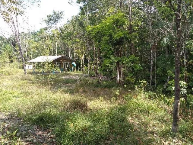 Imagem 4: R$70 Mil Sítio Próximo À Terra Alta no Pará 100X120 com Igarapé e Casa