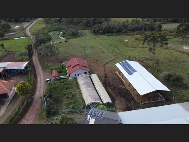 Imagem 5: Chácara com Terreno de 7.000M² em Campo Alegre