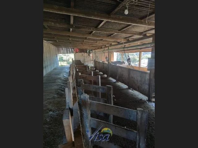 Imagem 9: Chácara com Terreno de 7.000M² em Campo Alegre