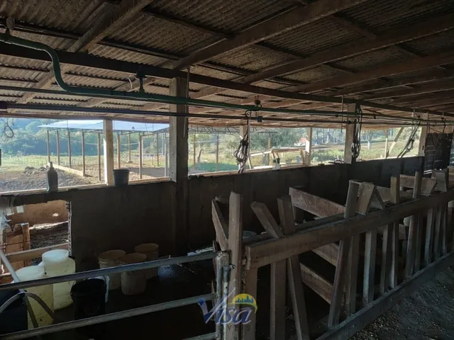 Imagem 10: Chácara com Terreno de 7.000M² em Campo Alegre