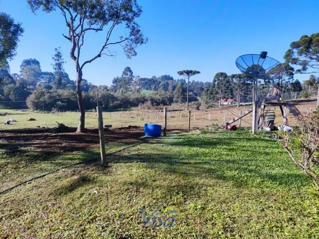 Imagem 3: Chácara com Terreno de 7.000M² em Campo Alegre