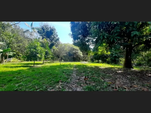 Imagem: Sítio em Terra Alta-Pa Mede 2541 M² por