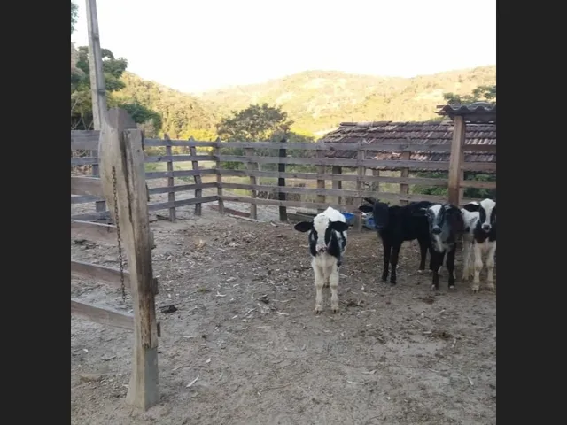 Imagem 6: Sitio de 32 Mil Mt em Passa Tempo